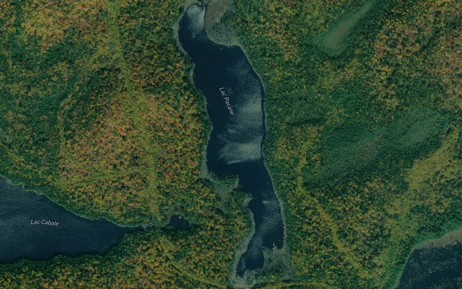 Satellite map of the Lac Pacane
