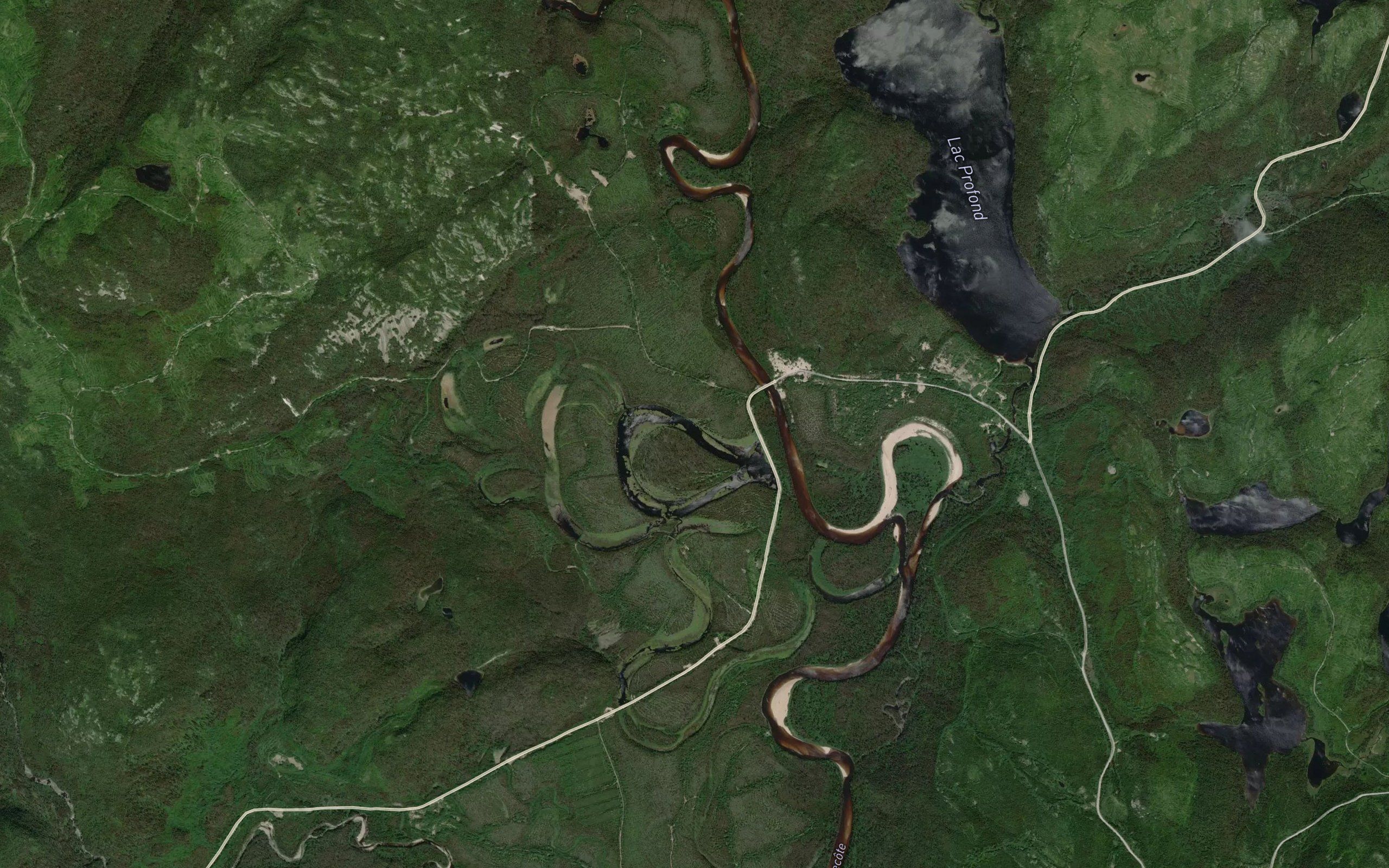 Lac Bynx