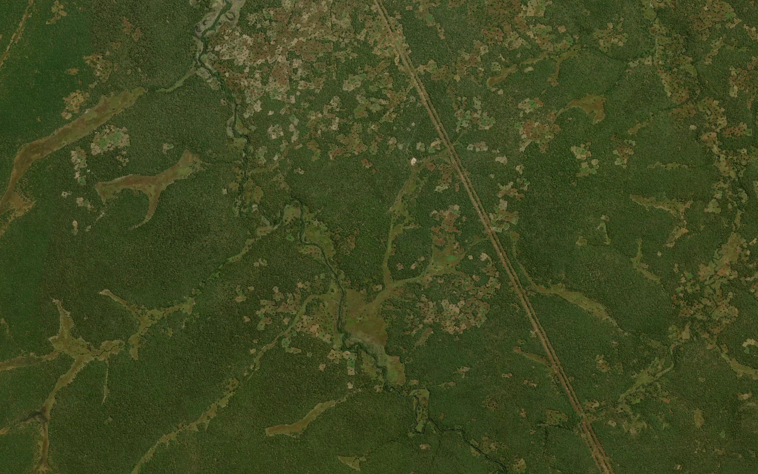 Kausaka