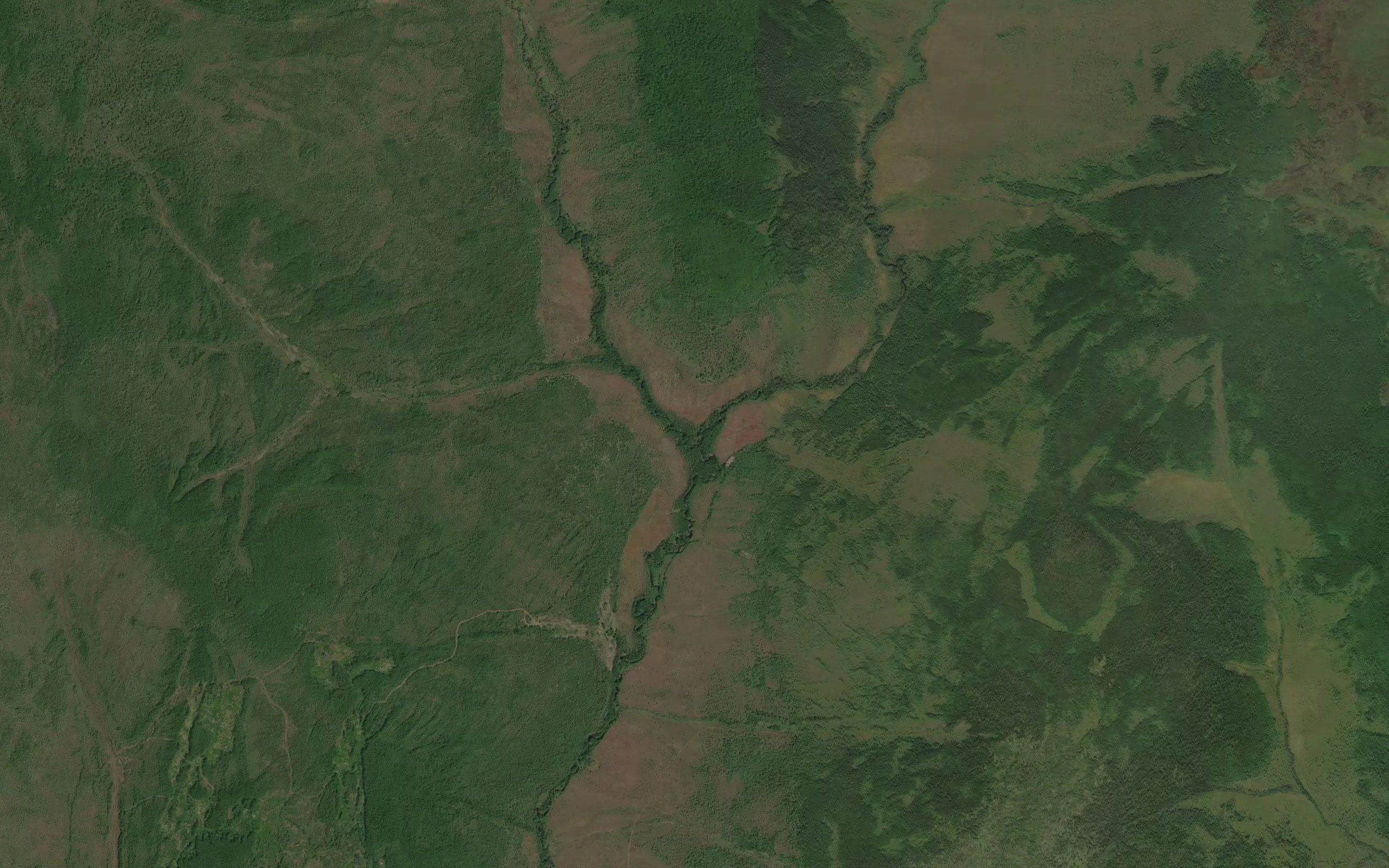 Naldy-Namnichi