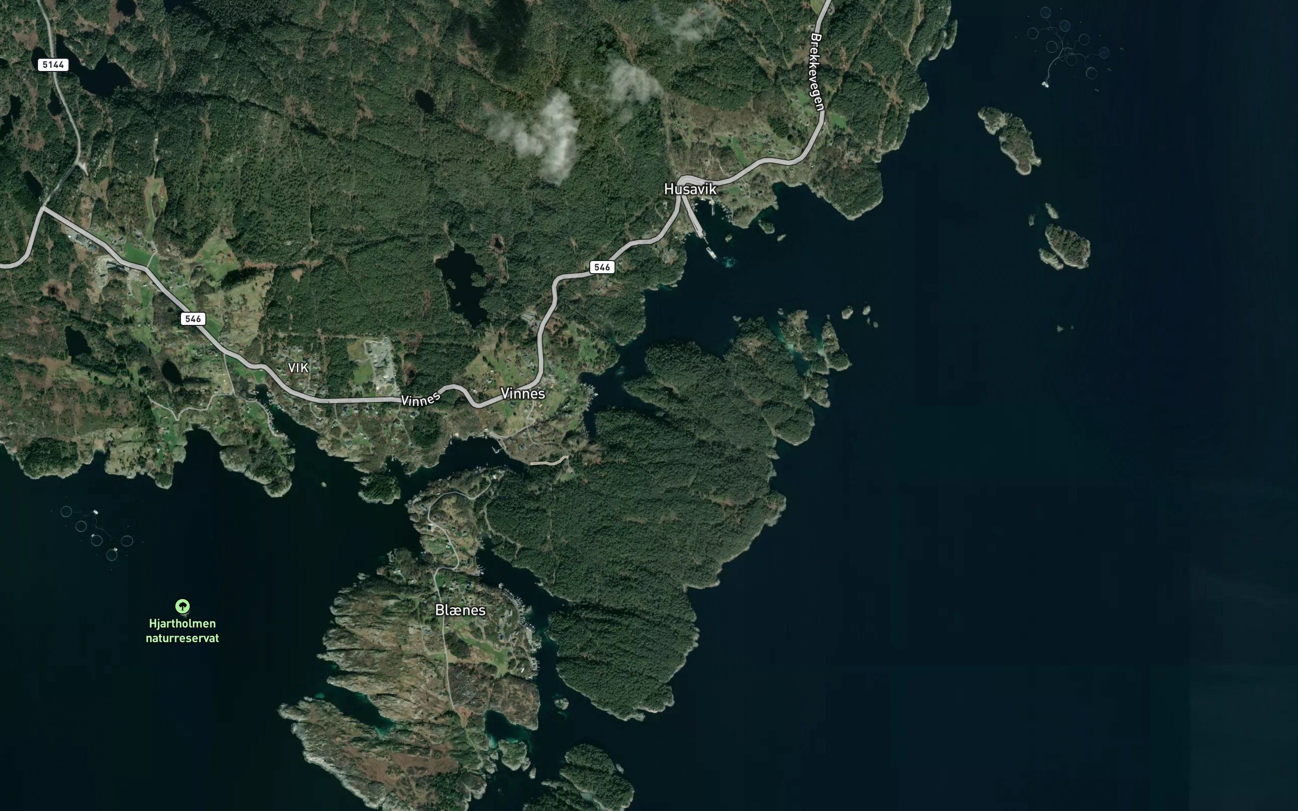 Skogavika