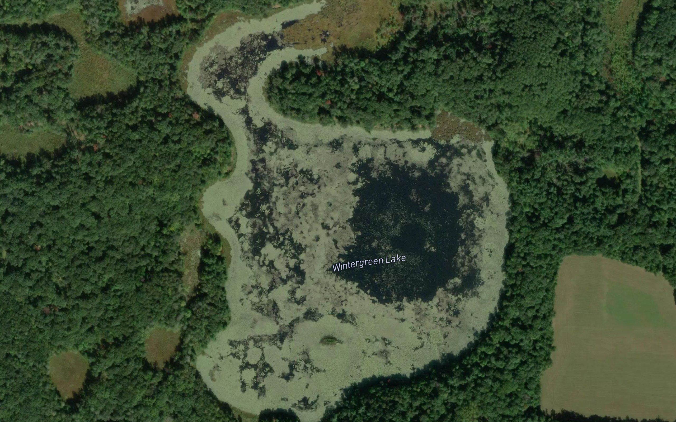 Wintergreen Lake