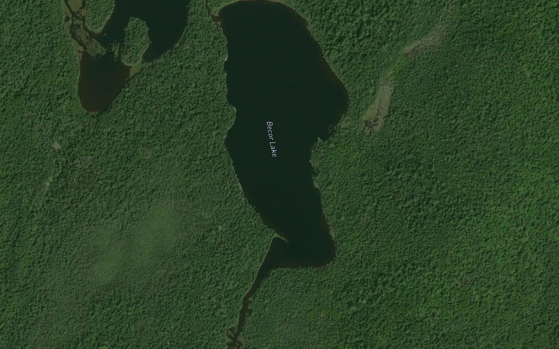 Satellite map of the Becor Lake
