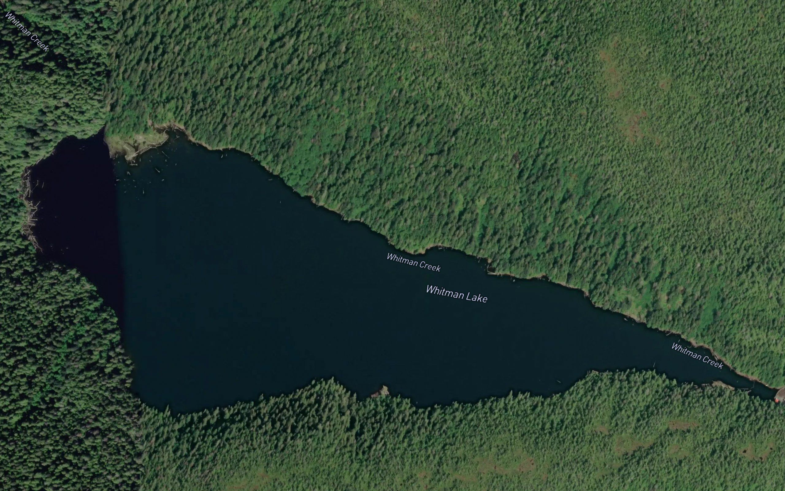 Whitman Lake