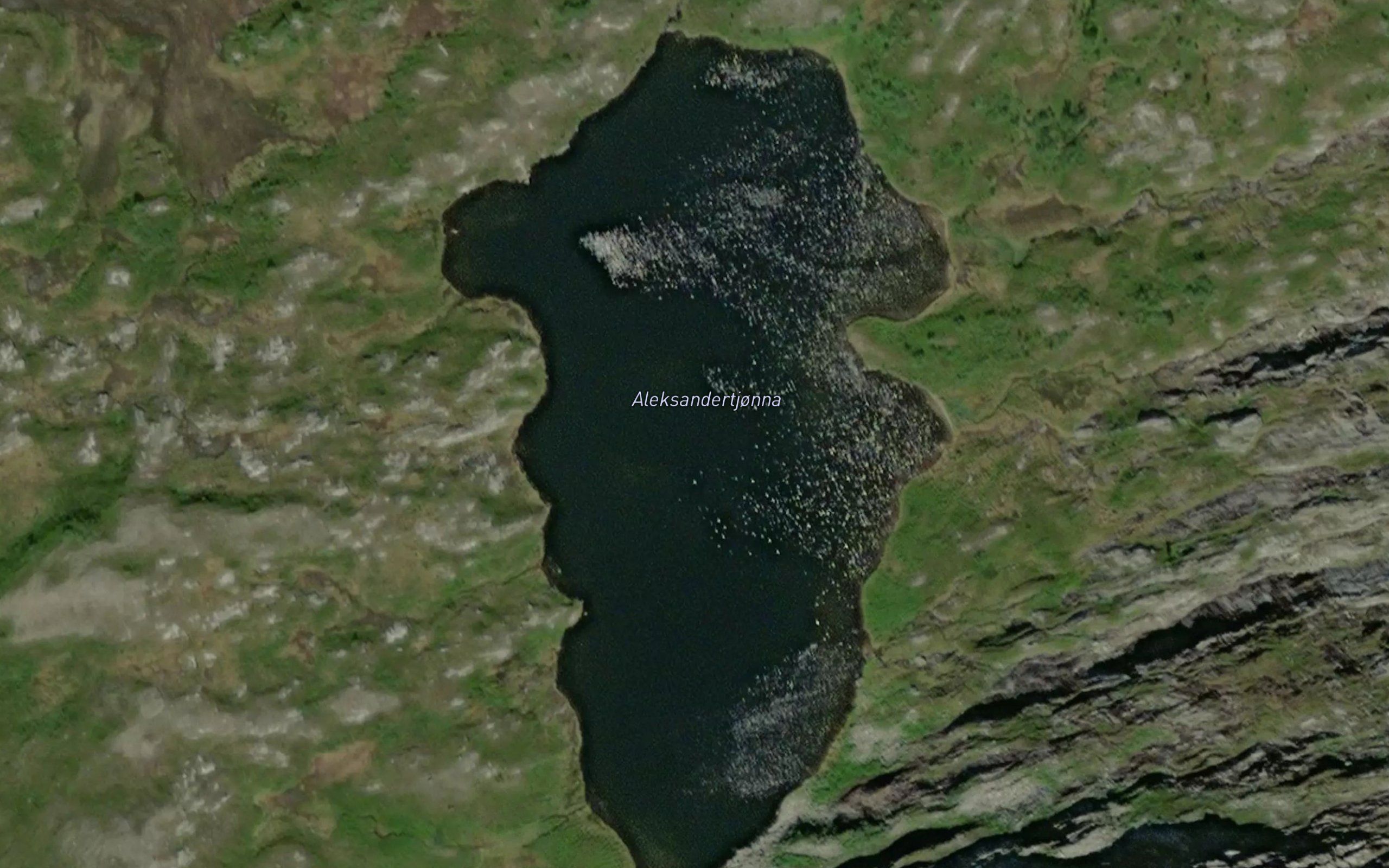 Aleksandertjorna