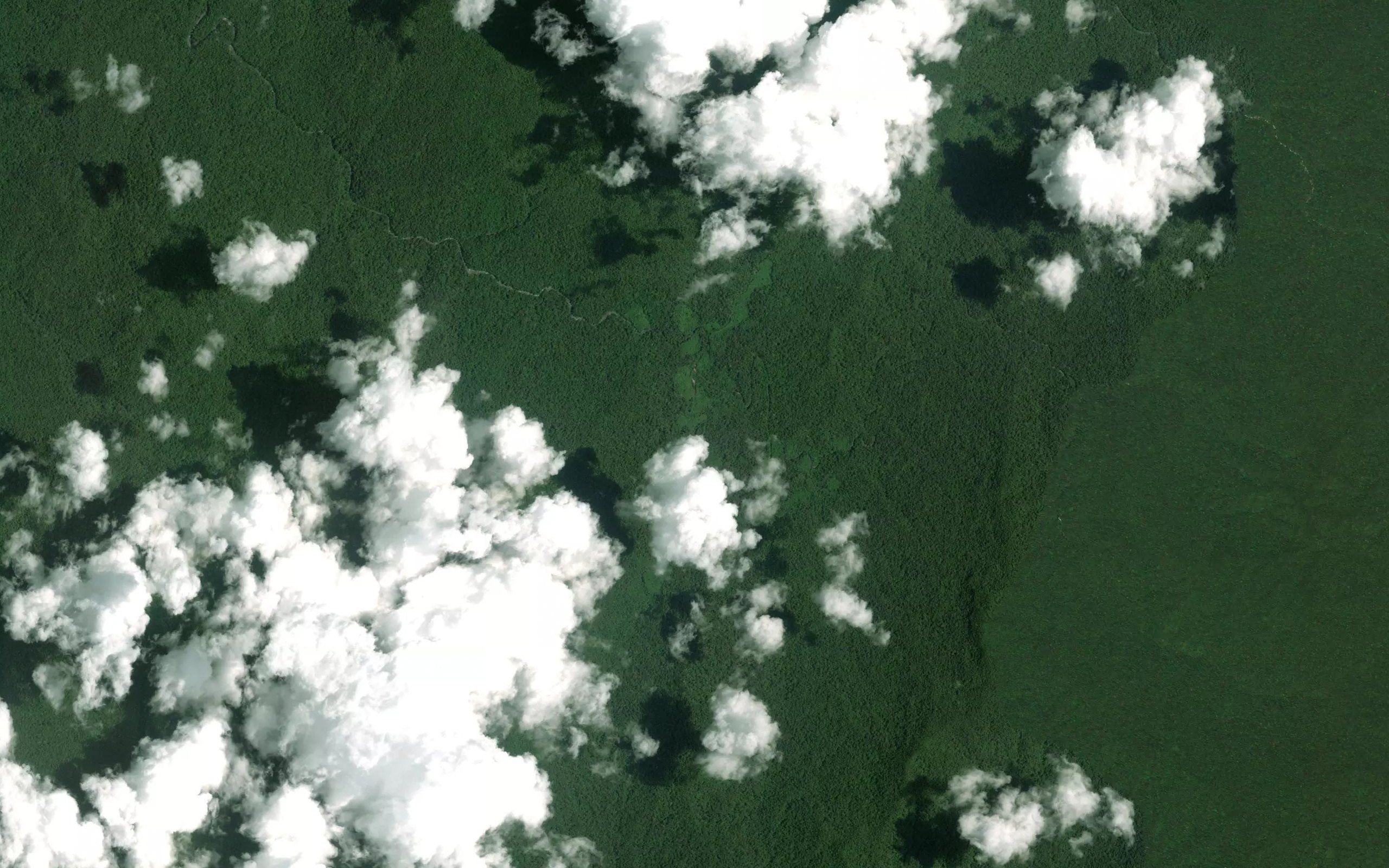 Quebrada Venado