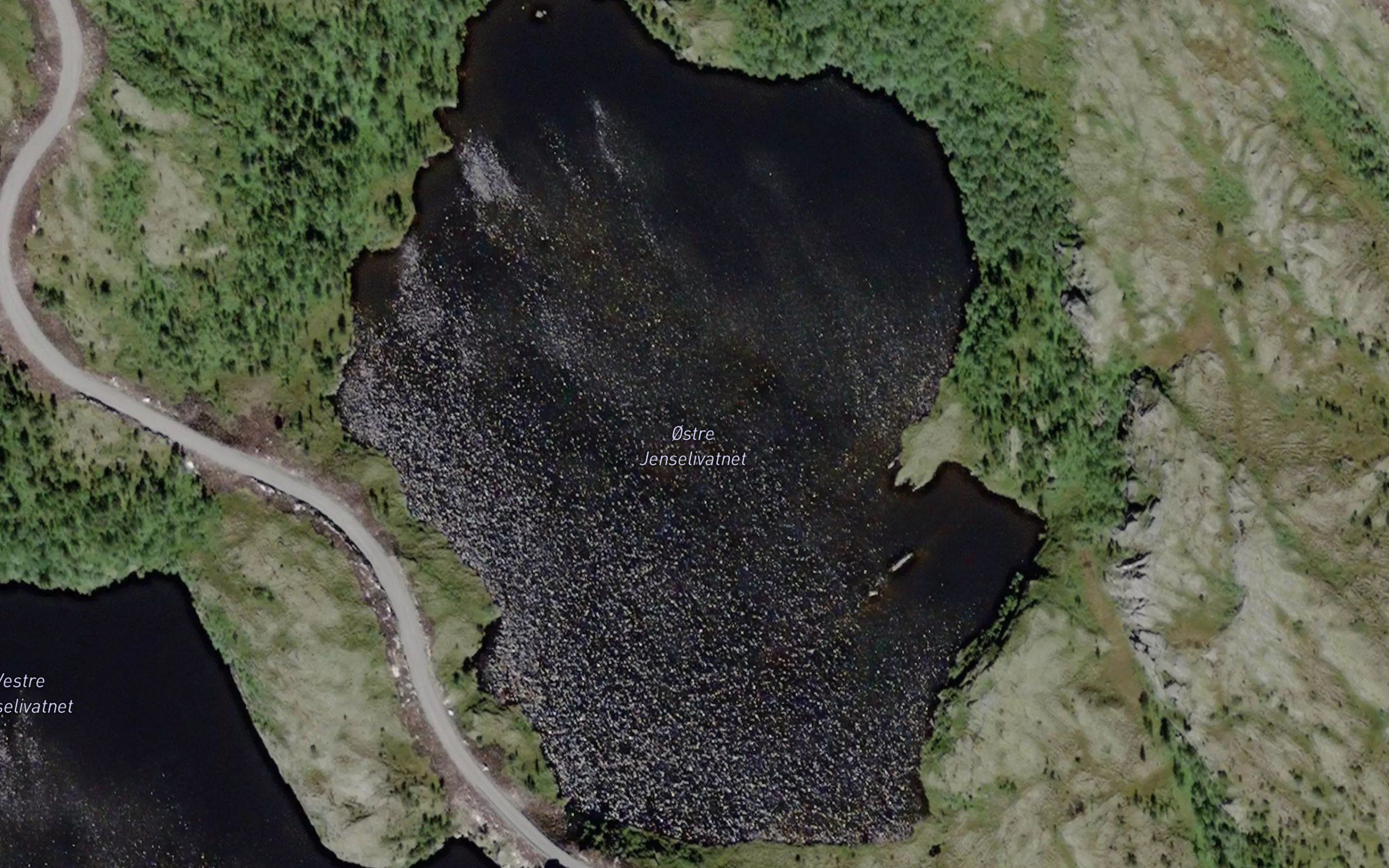 Ostre Jenselivatnet