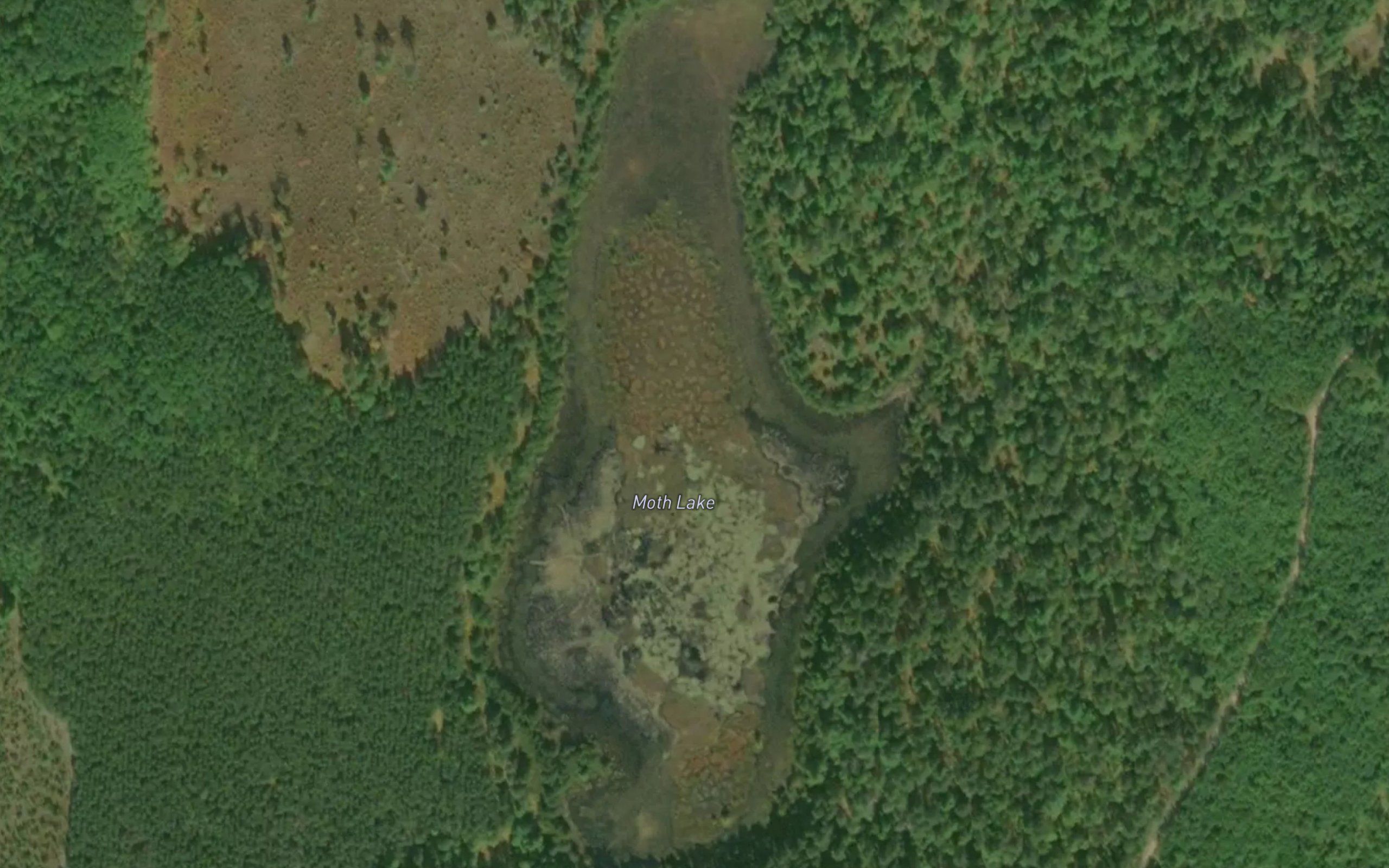 Moth Lake