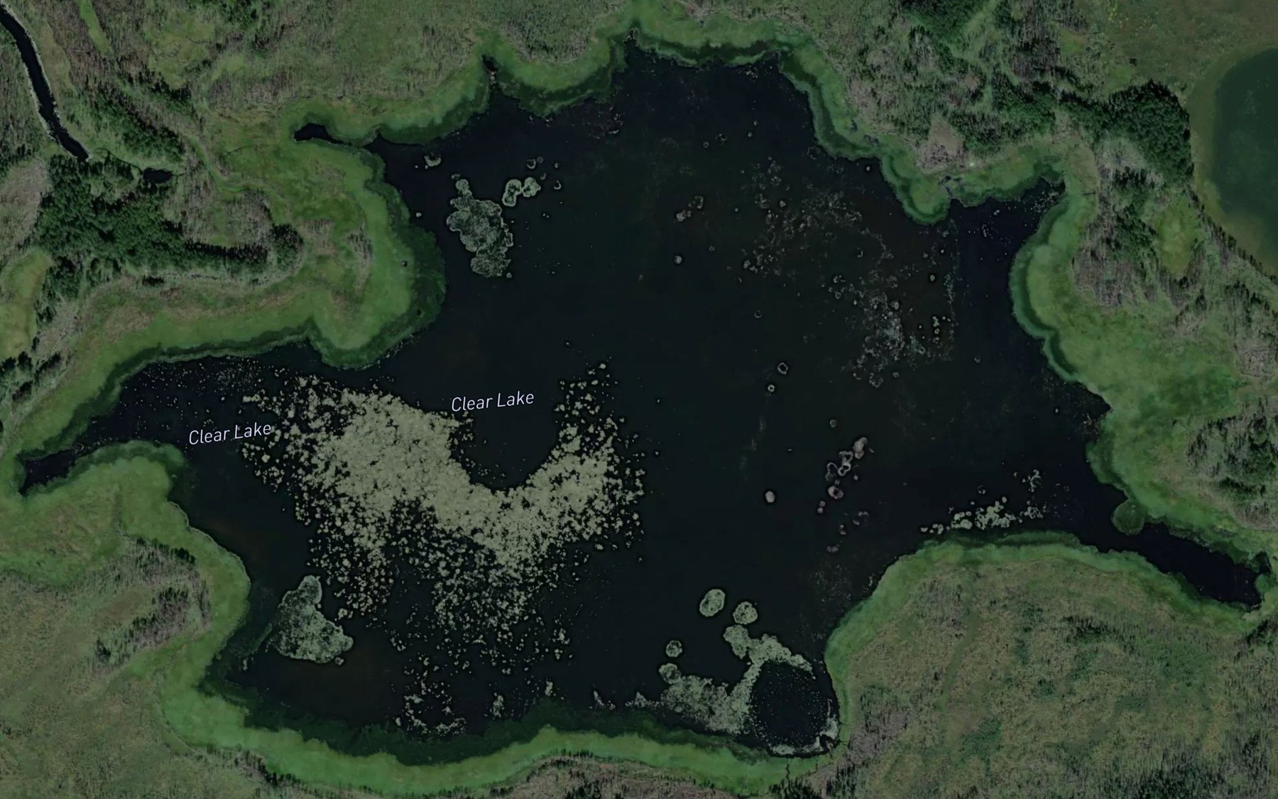 Satellite map of the Clear Lake