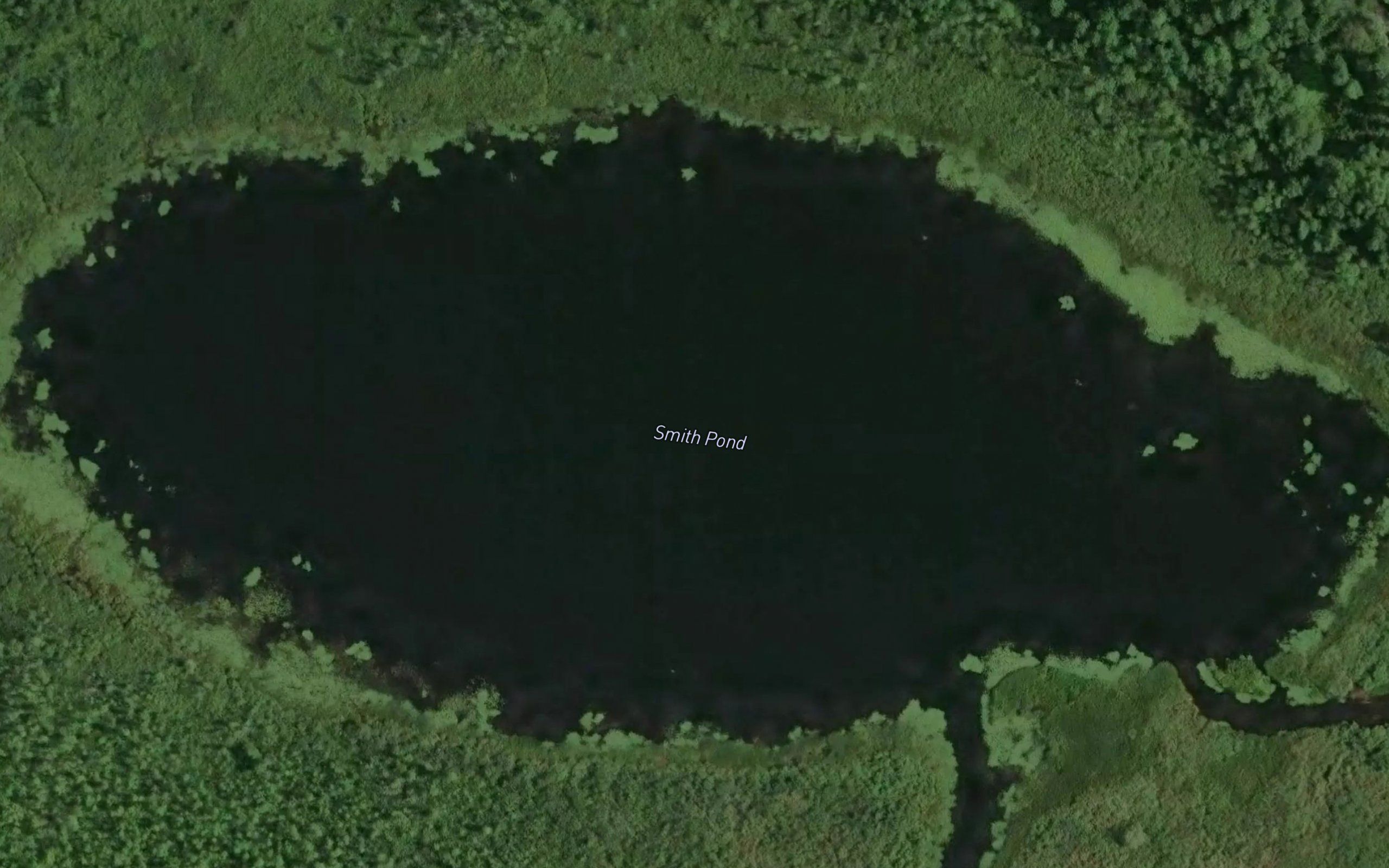 Smith Pond