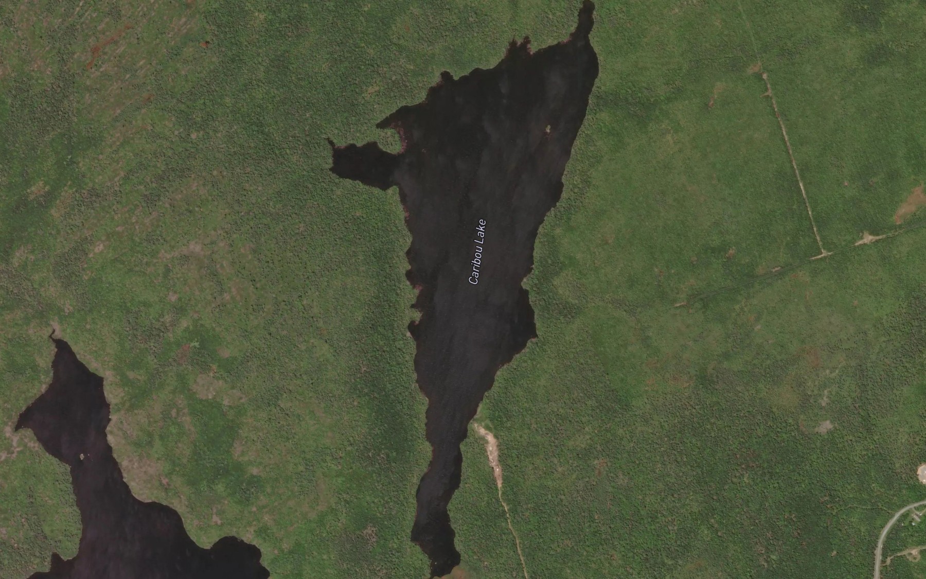 Satellite map of the Caribou Lake