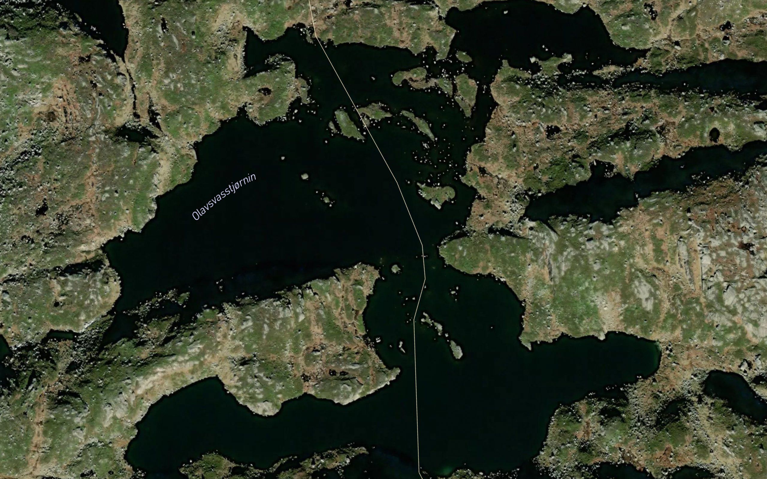 Olavsvasstjornin