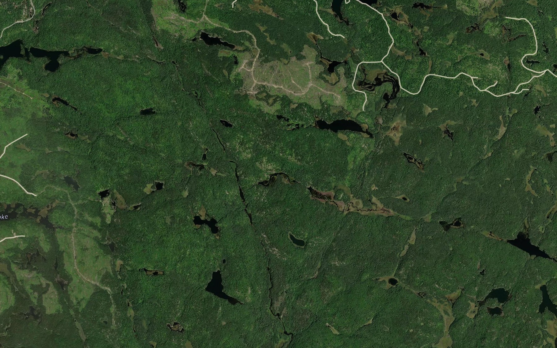 Satellite map of the Reedy Creek