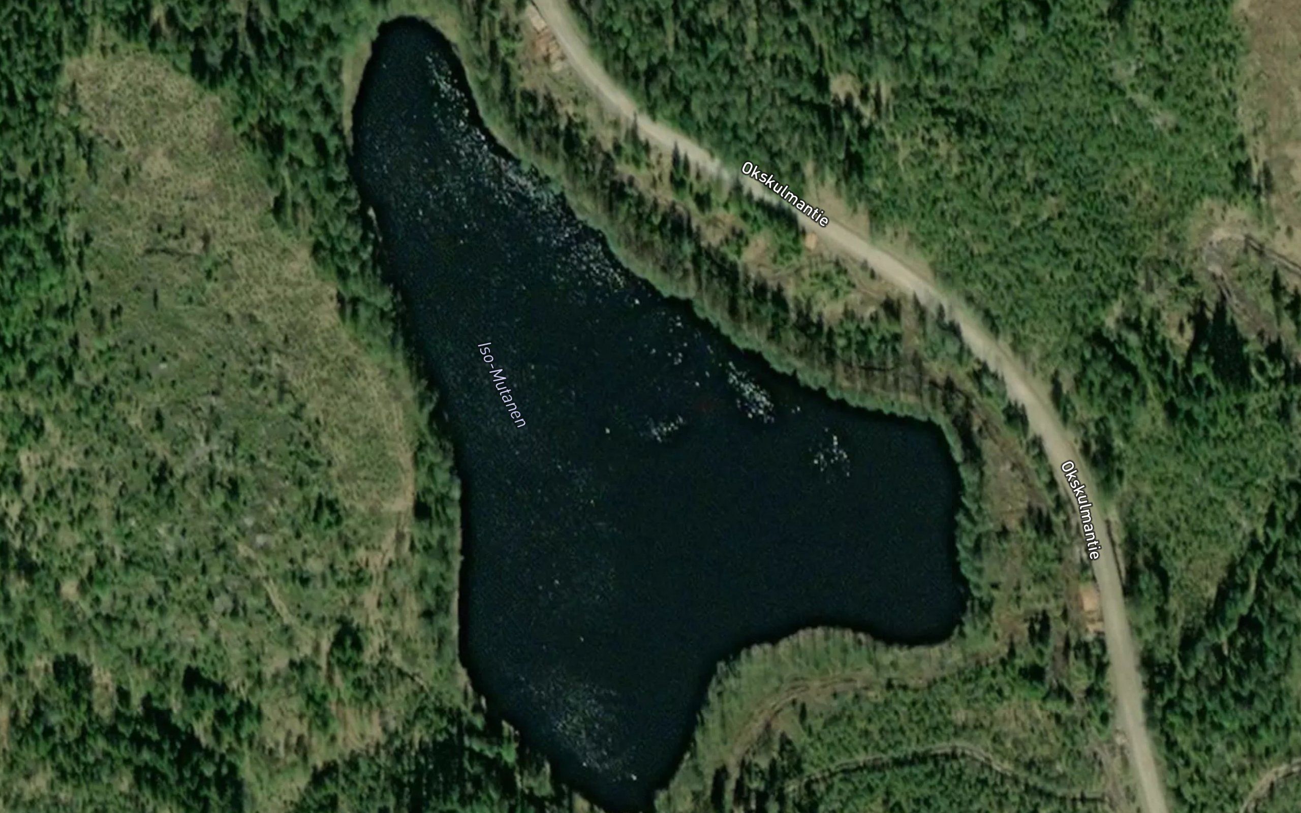 Iso-Mutanen