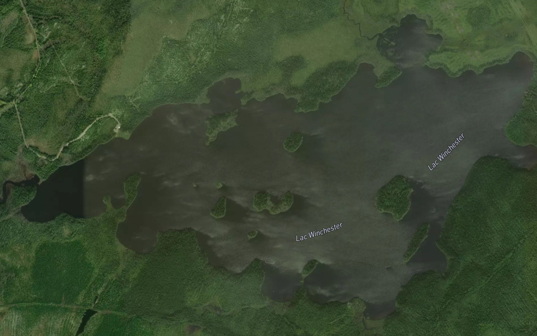 Satellite map of the Lac Winchester