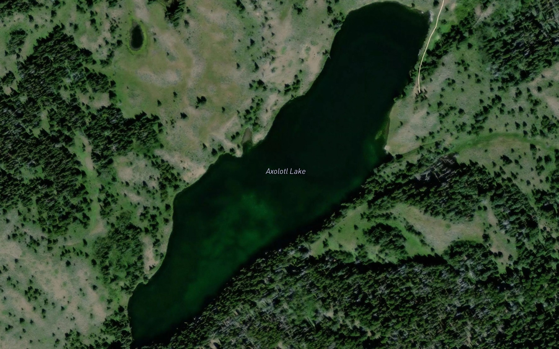 Satellite map of the Axolotl Lake