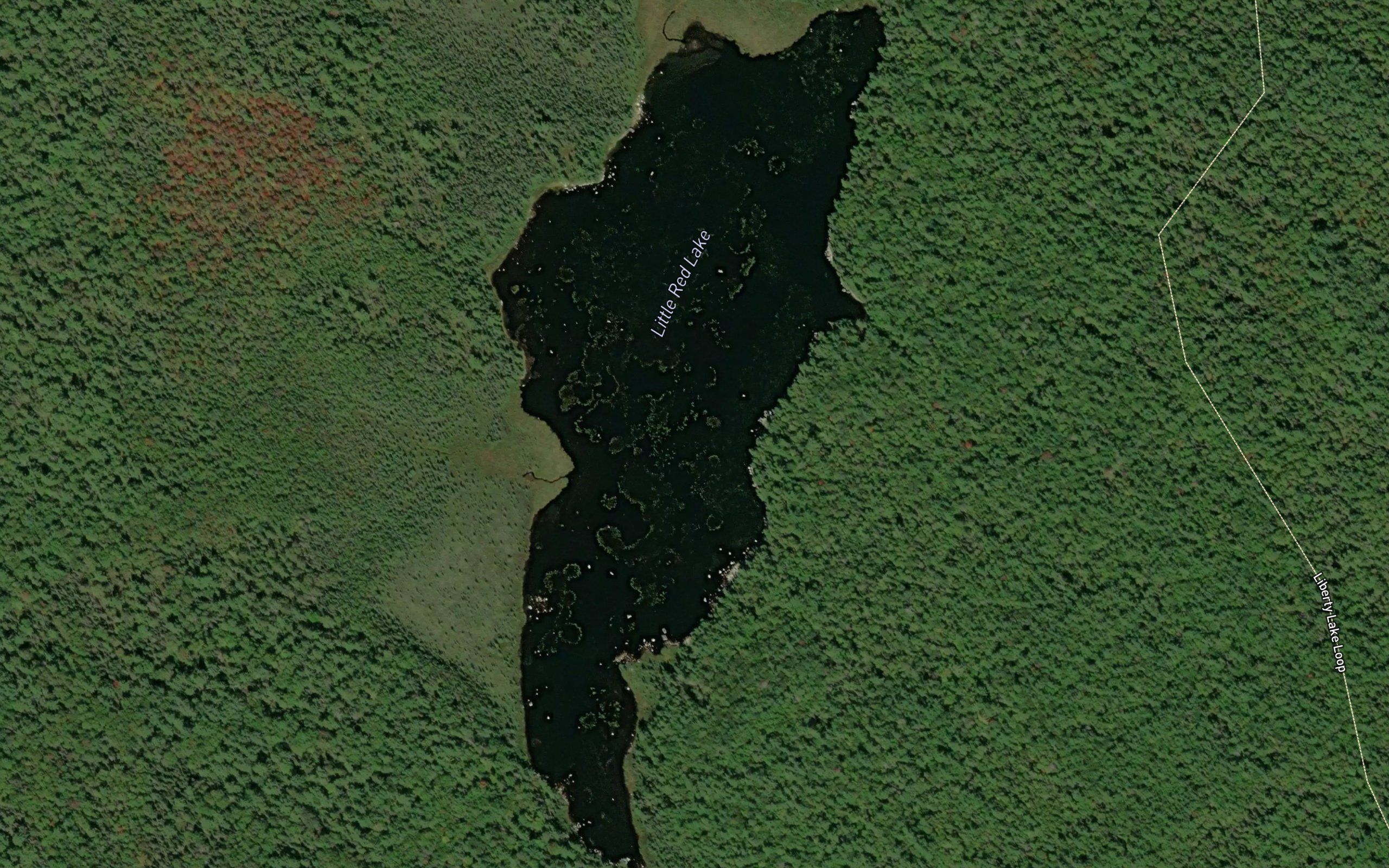 Little Red Lake