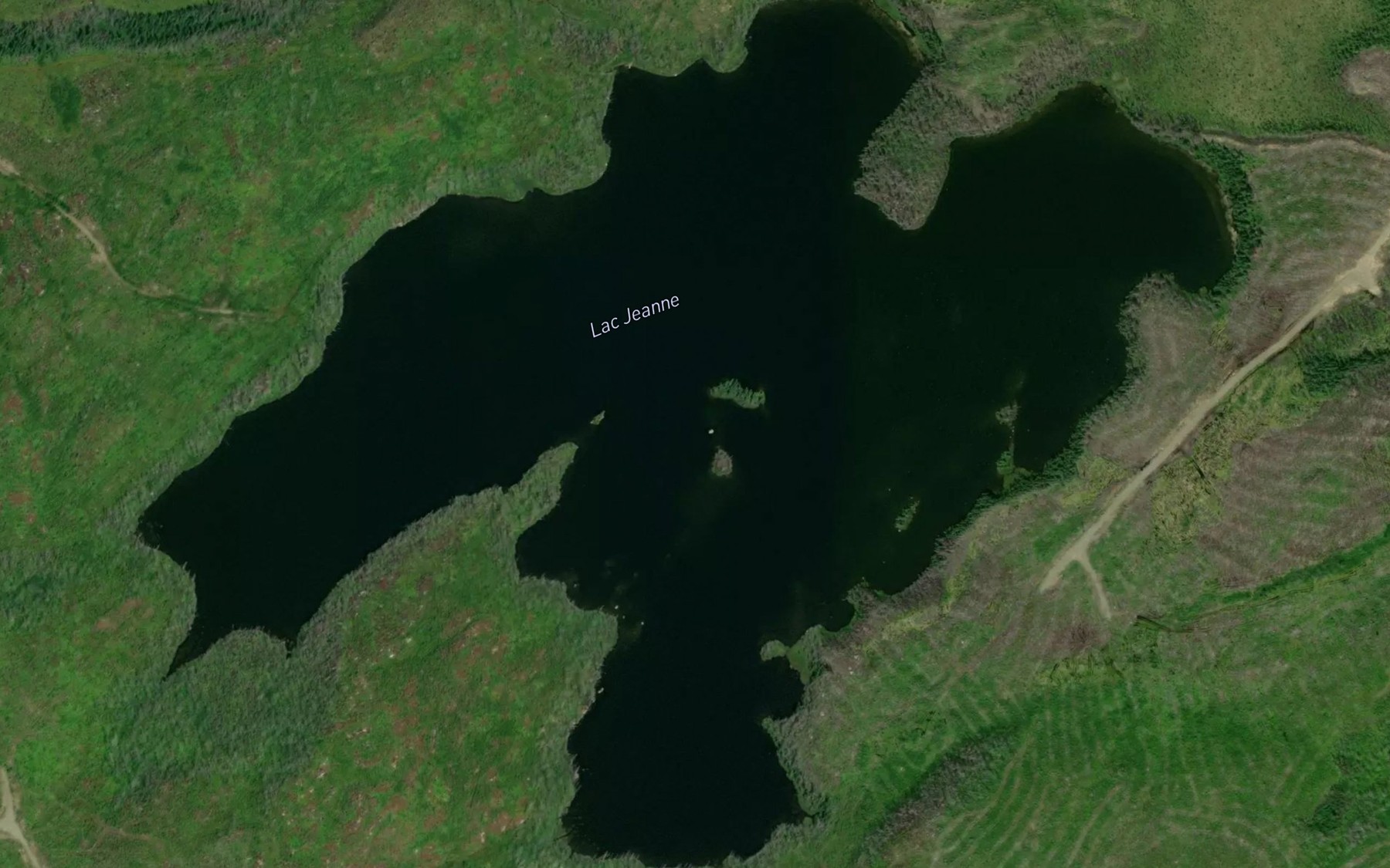 Satellite map of the Lac Jeanne