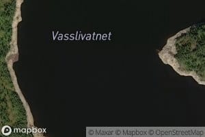 Vasslivatnet