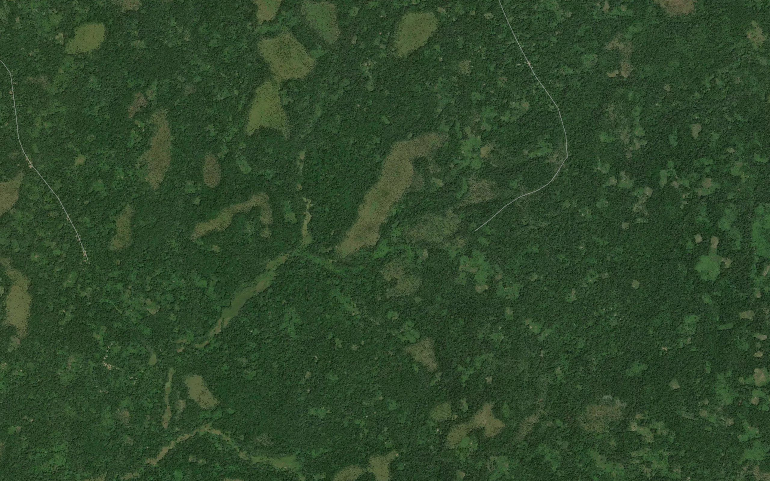 Nangbodi