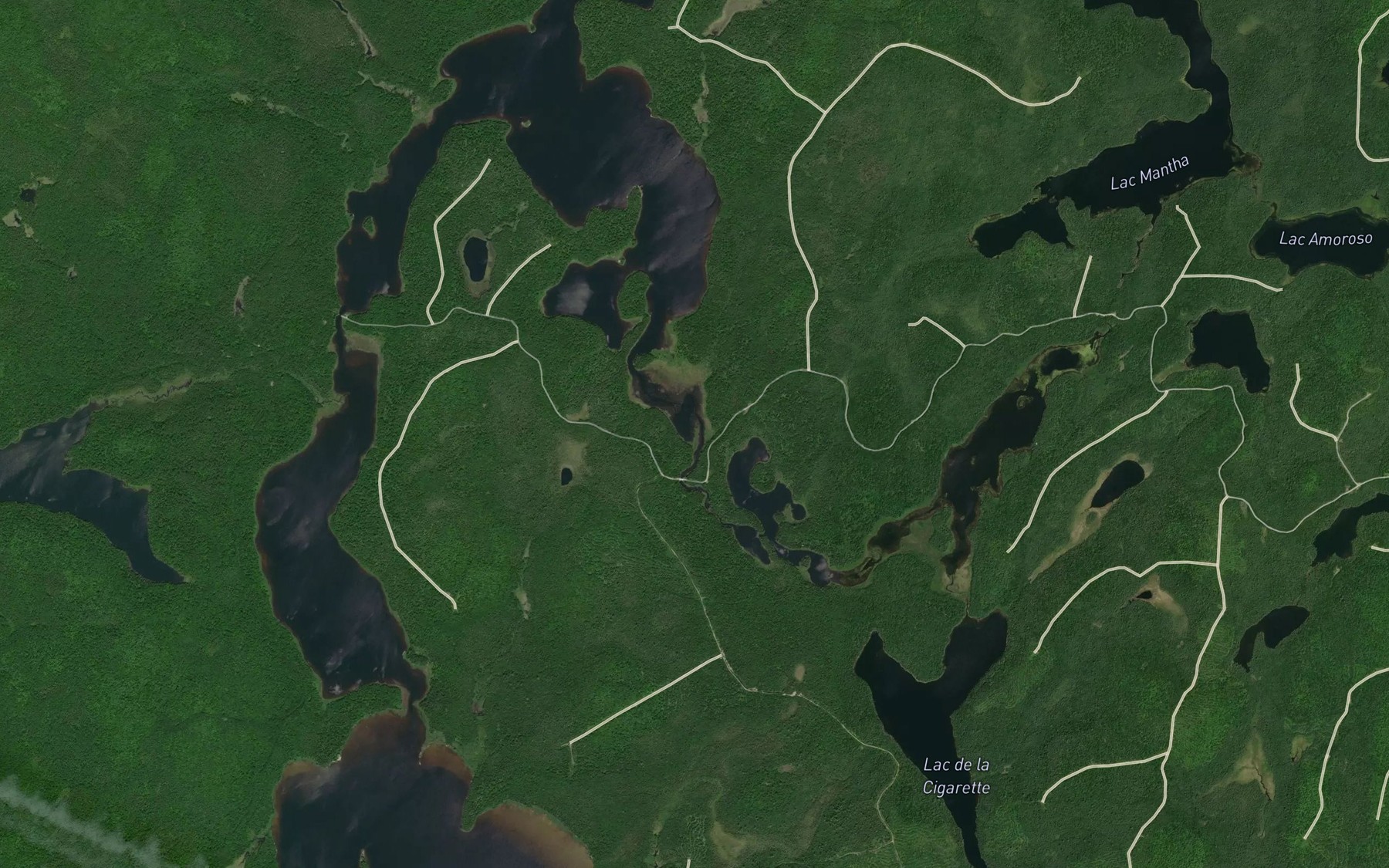 Satellite map of the Crique de la Cigarette