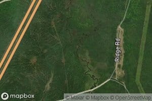 East Branch Medunkeunk Stream