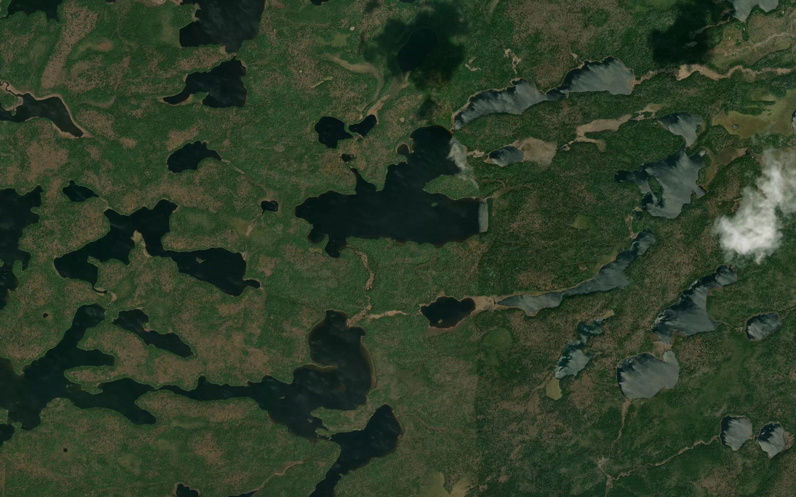 Bing Creek