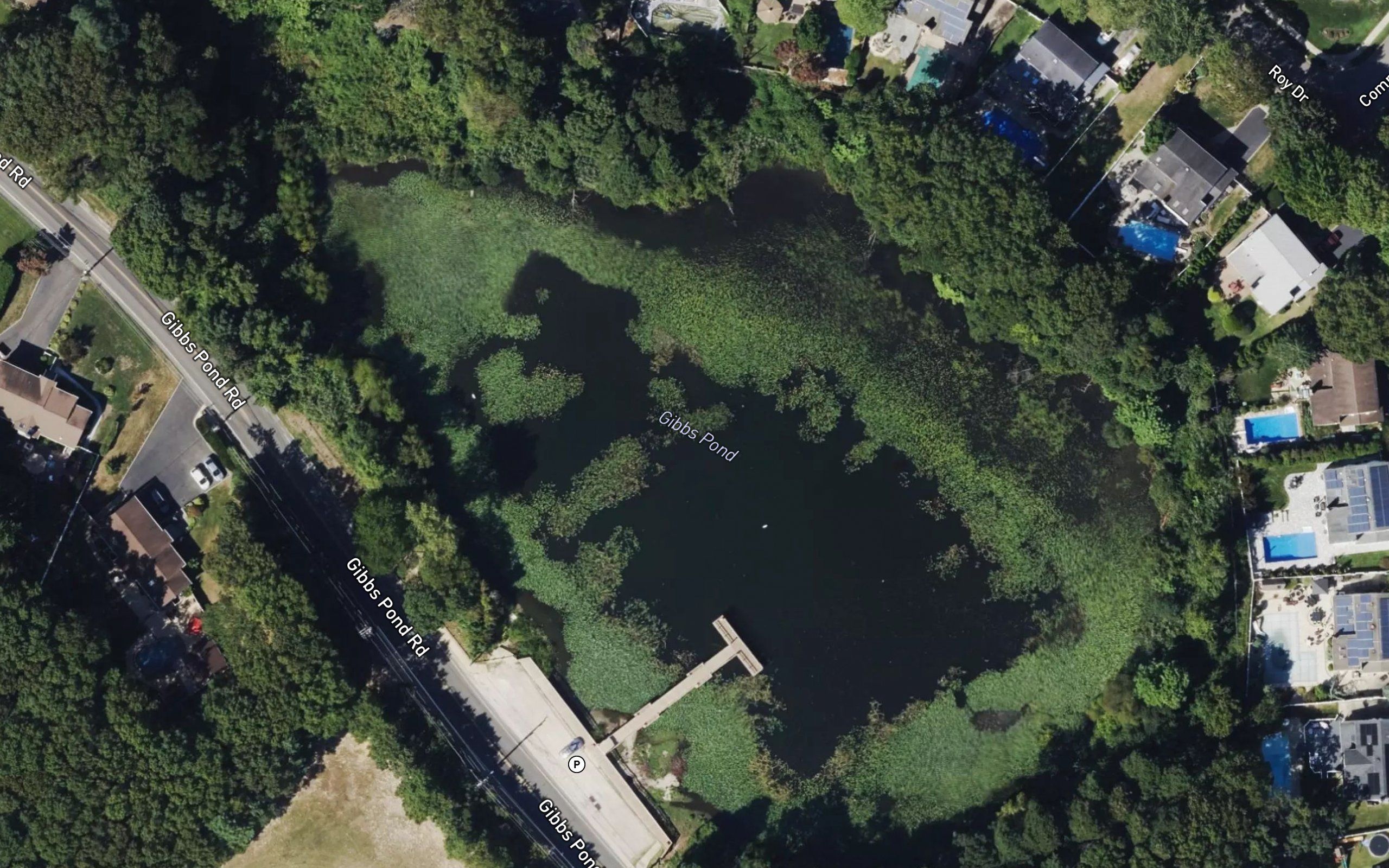 Gibbs Pond