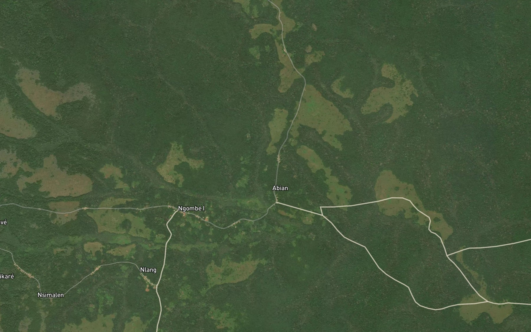 Satellite map of the Niolle