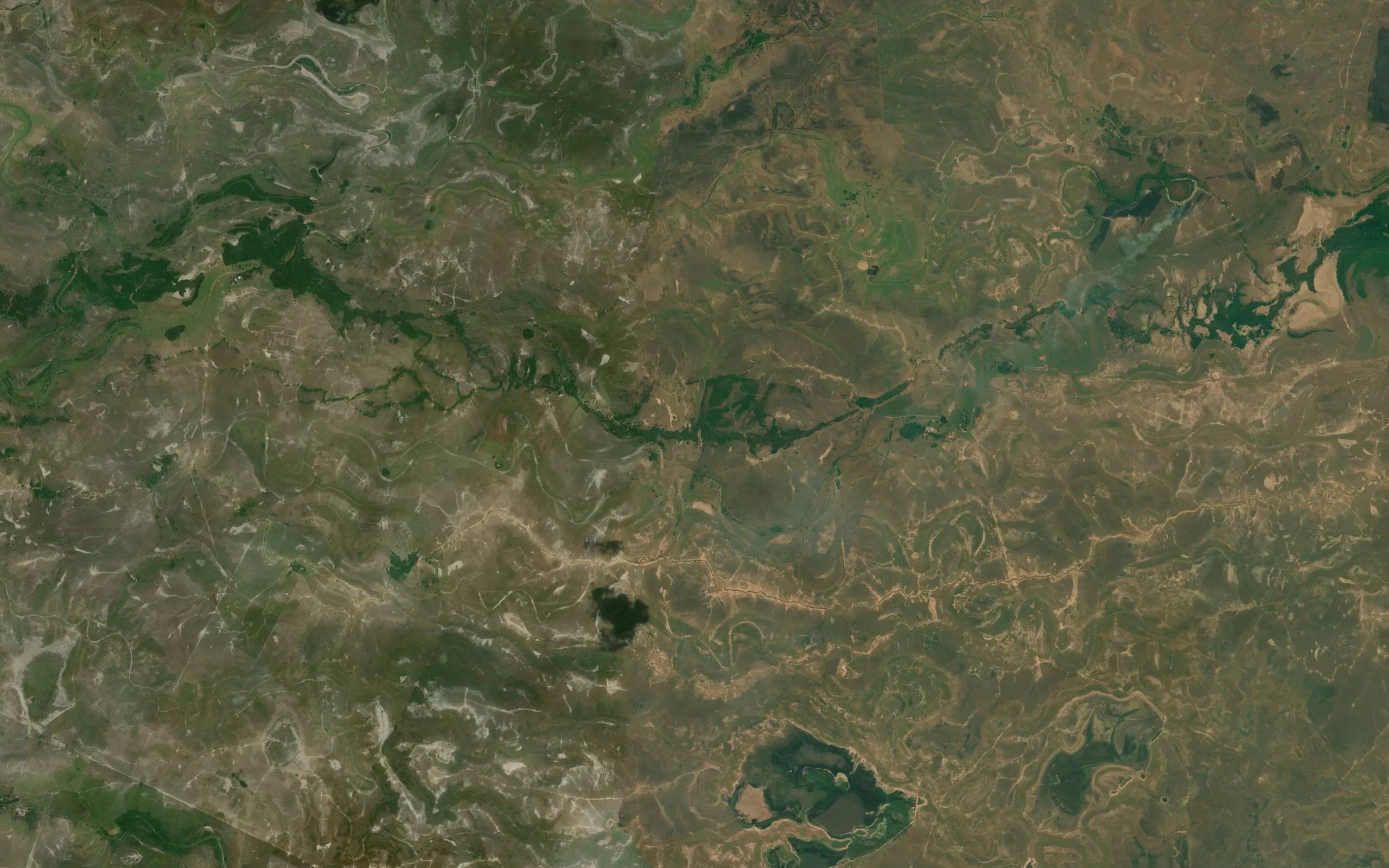 Cano Mapalito