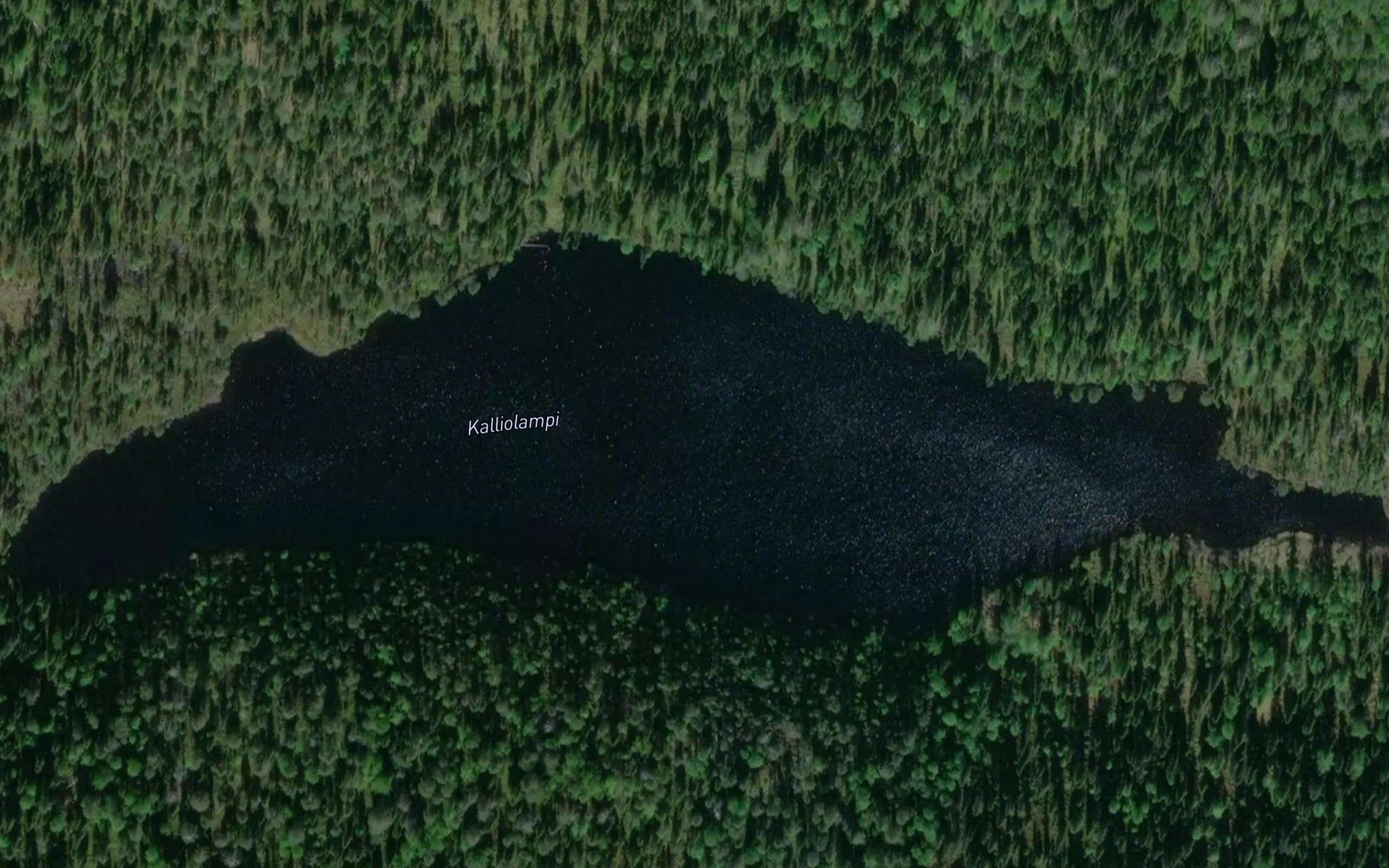 Kalliolampi