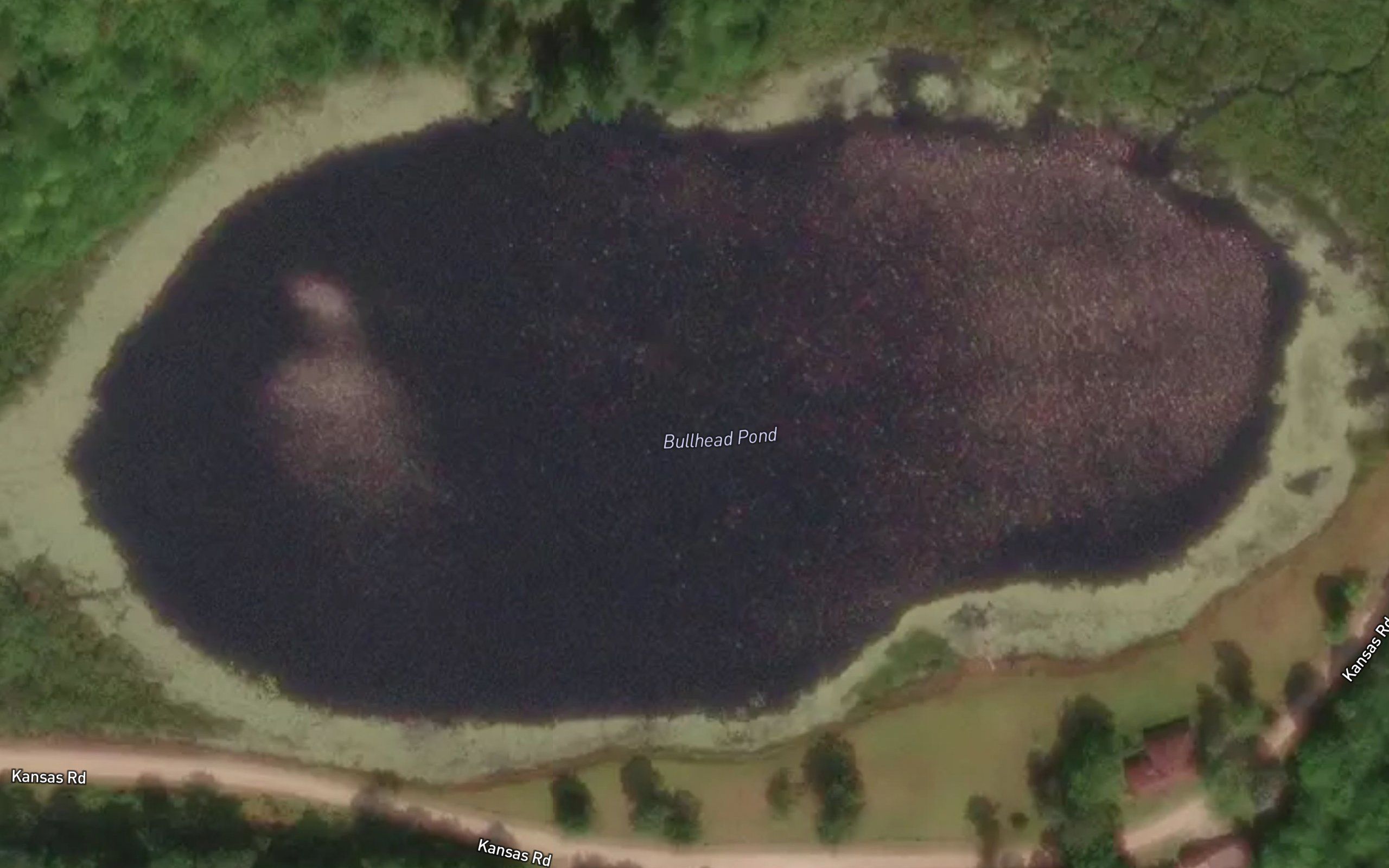 Bullhead Pond