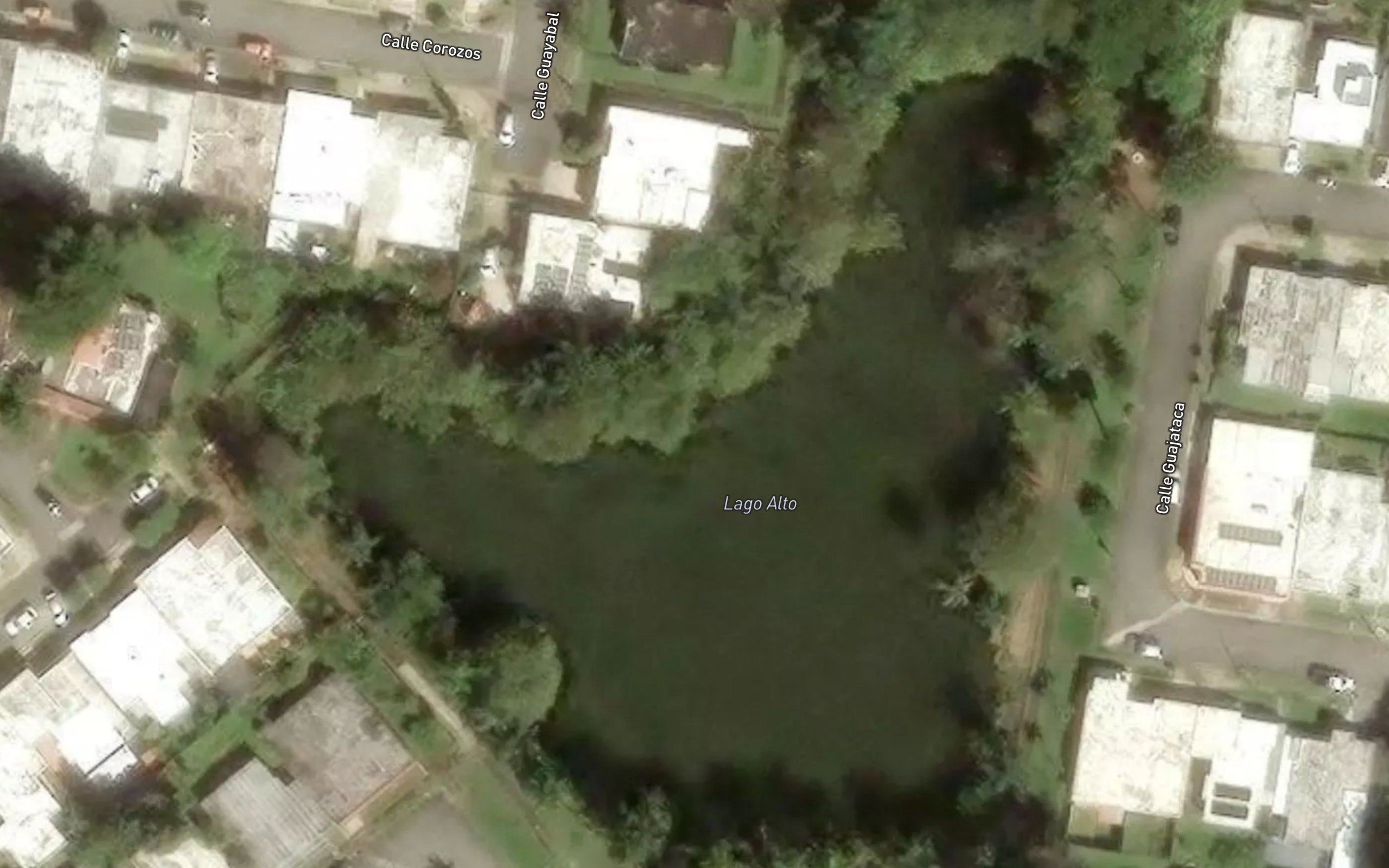 Lago Alto