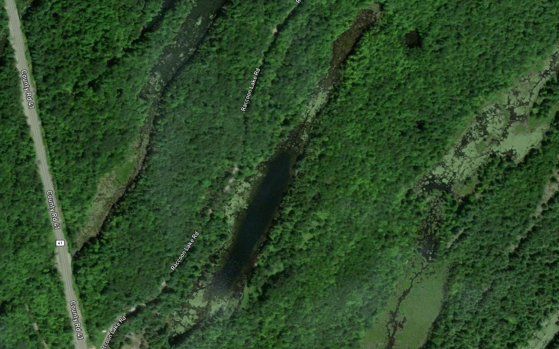 Satellite map of the McFarlands Lake