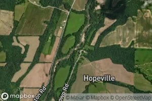Bear Branch