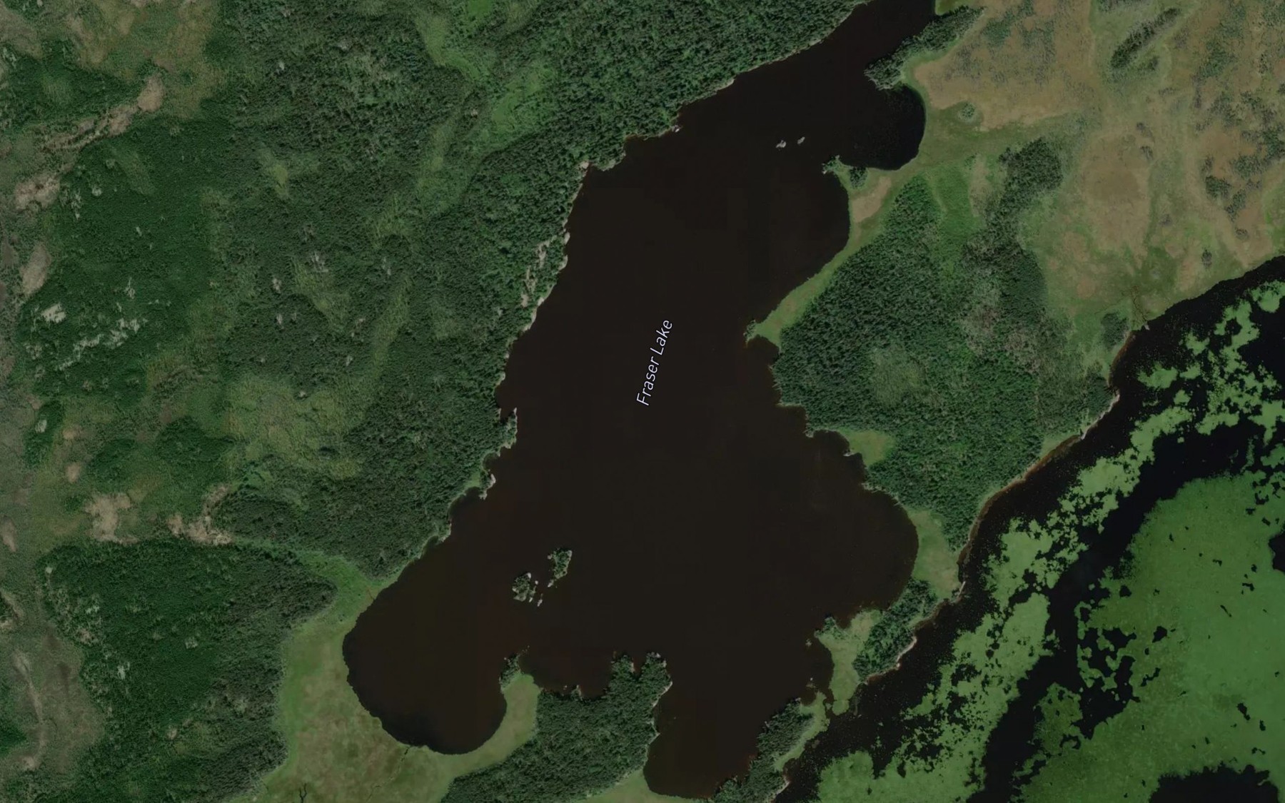 Satellite map of the Fraser Lake