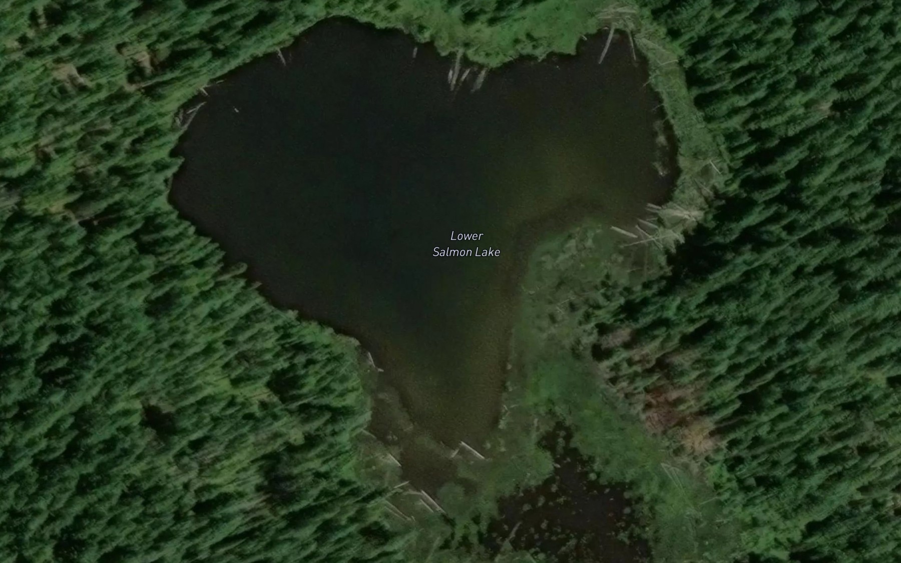 Satellite map of the Lower Salmon Lake
