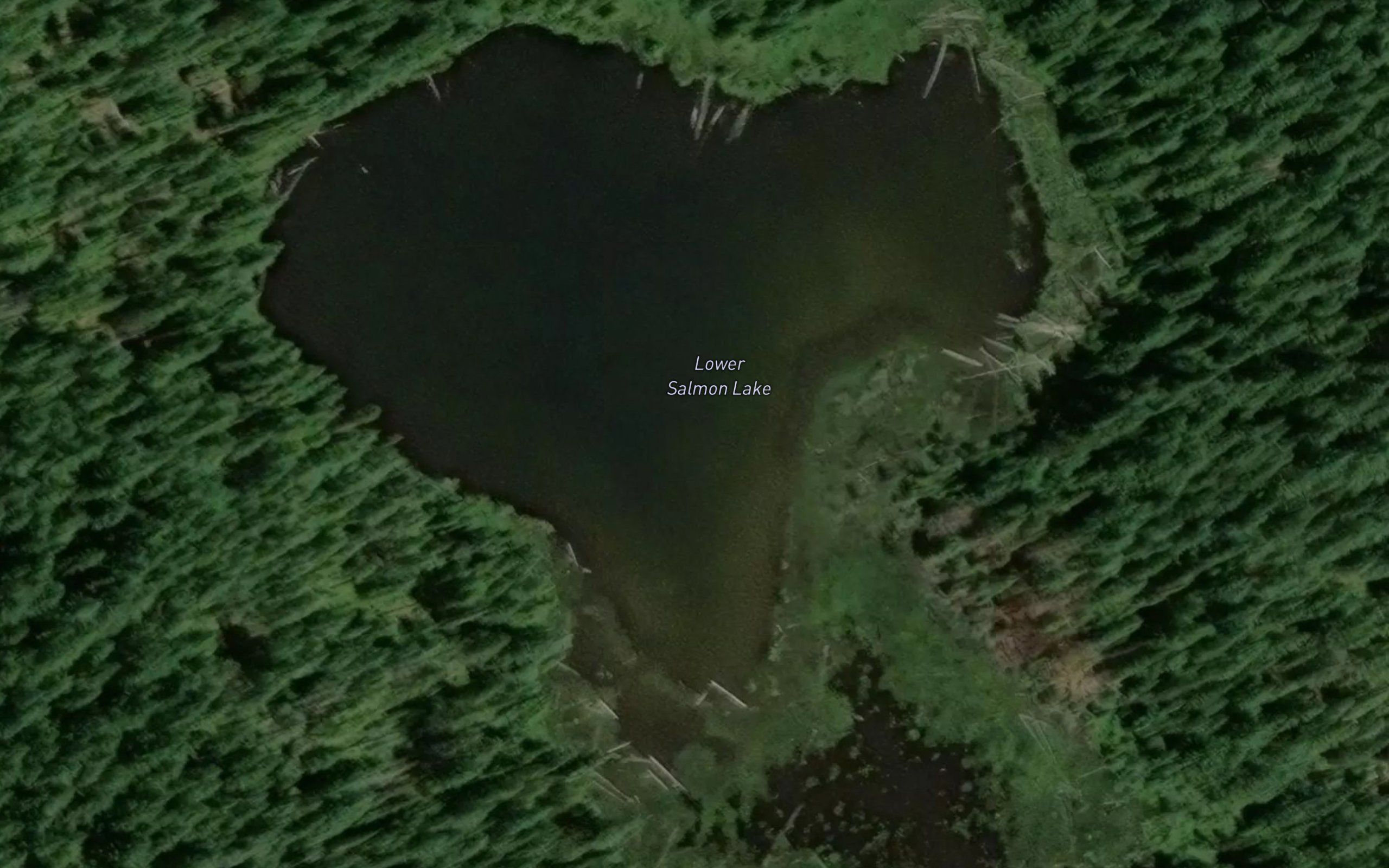 Lower Salmon Lake