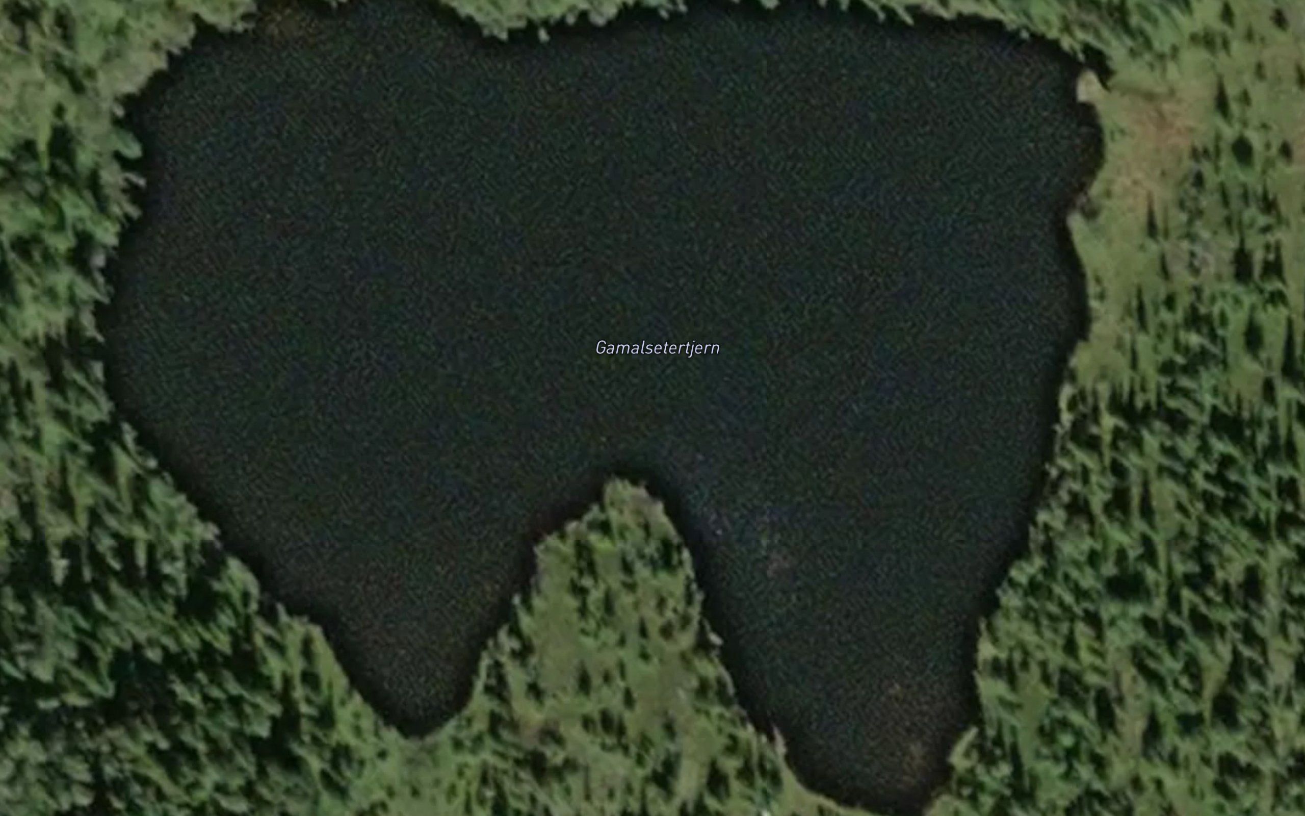 Gamalsetertjern