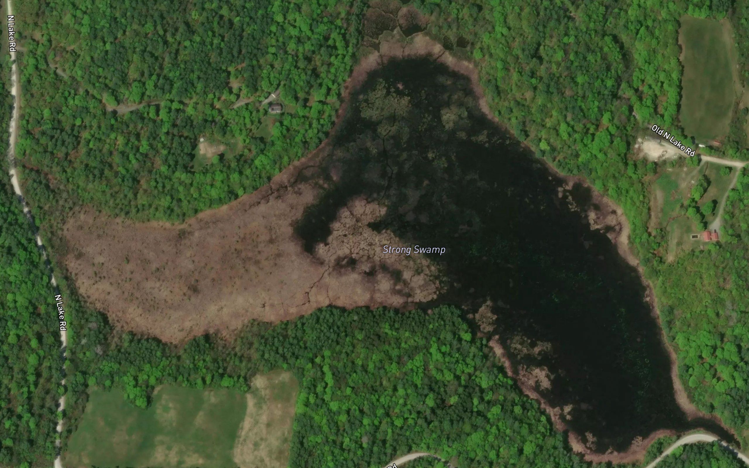 Strong Swamp