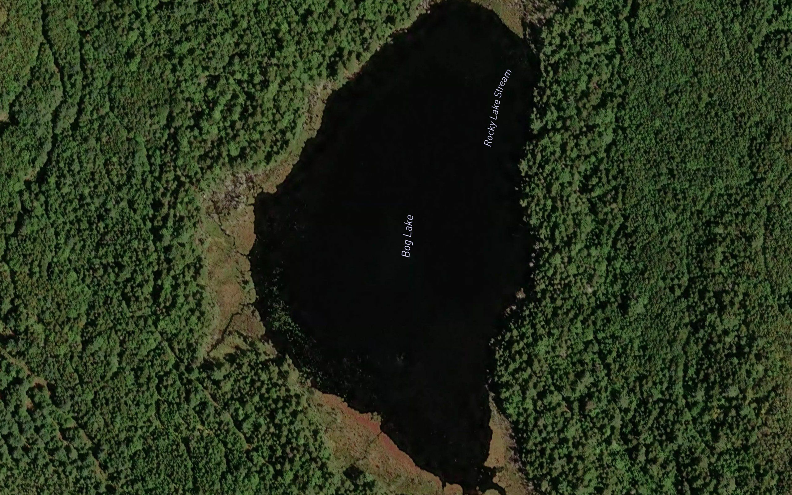 Bog Lake