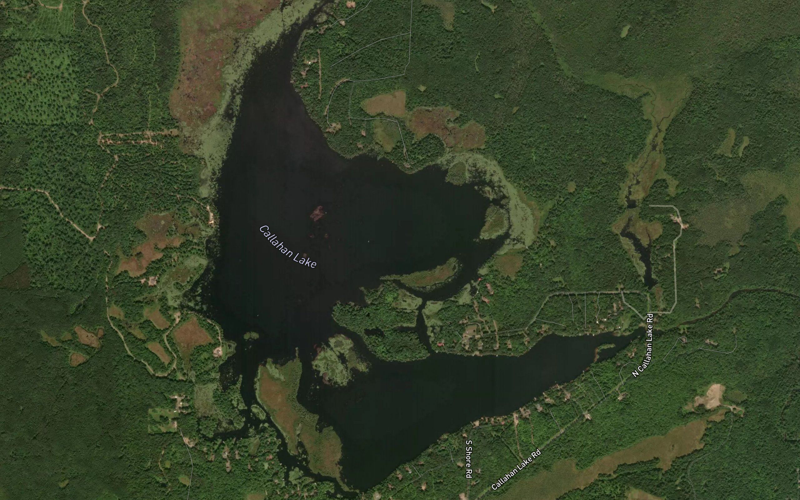 Callahan Lake