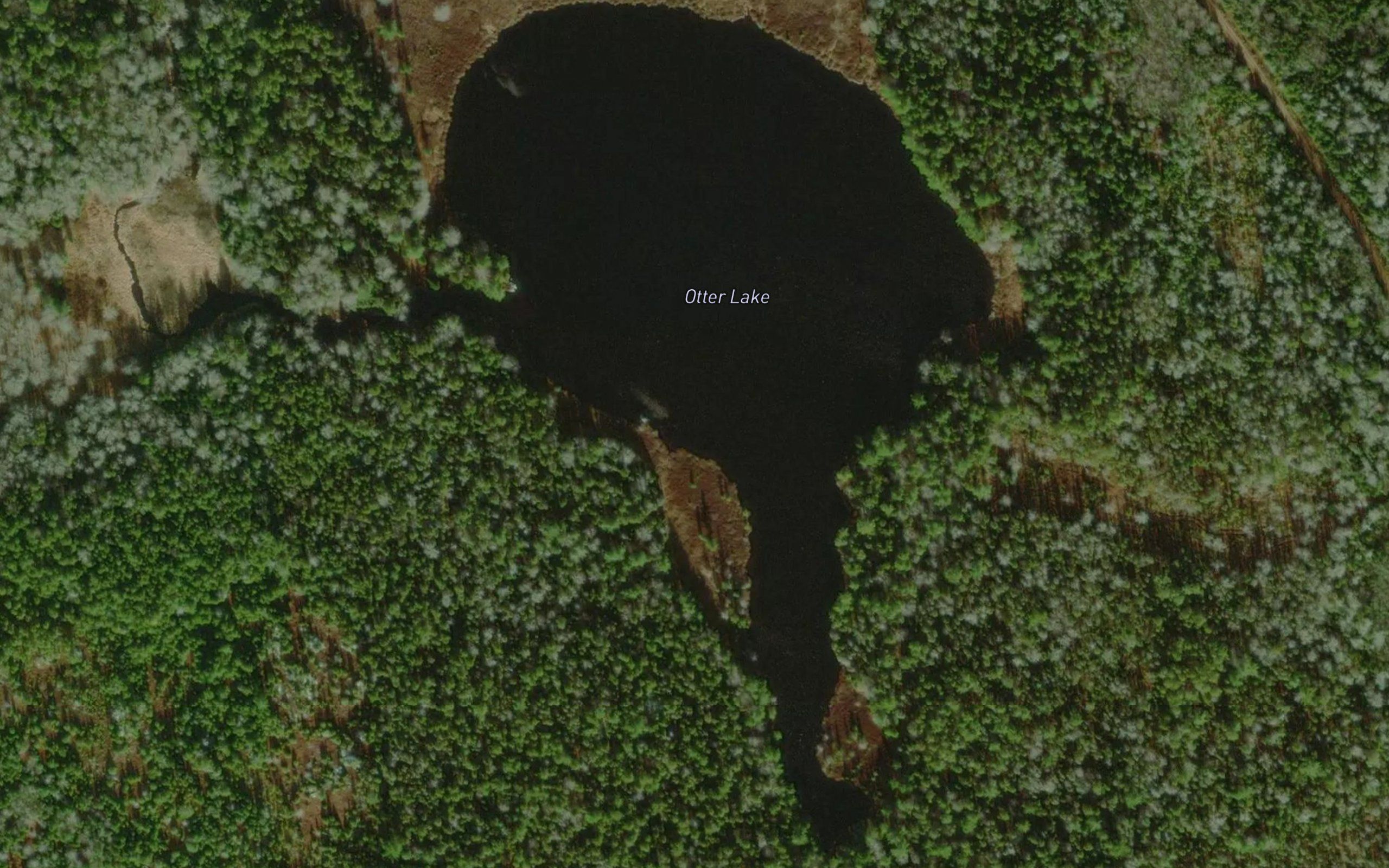 Otter Lake