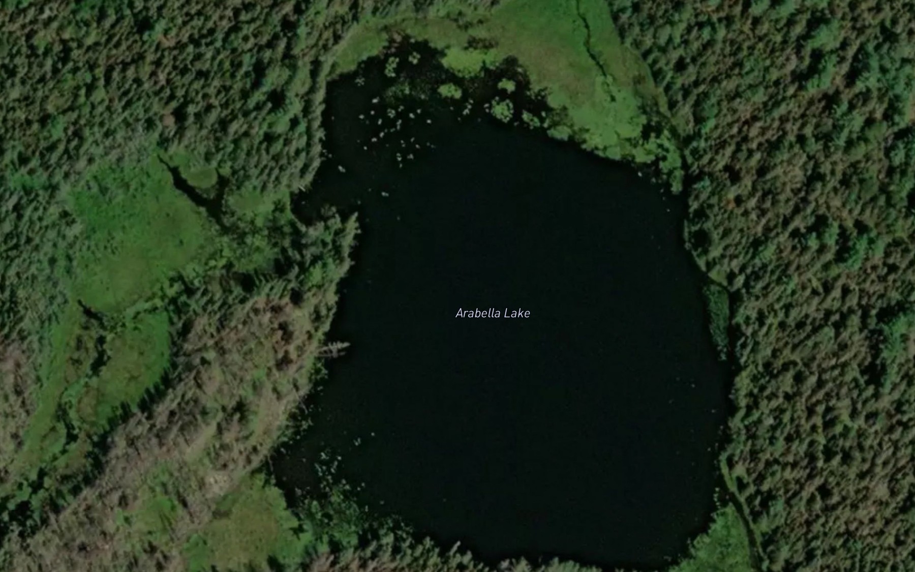 Satellite map of the Arabella Lake