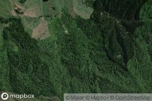 Waionepu Stream