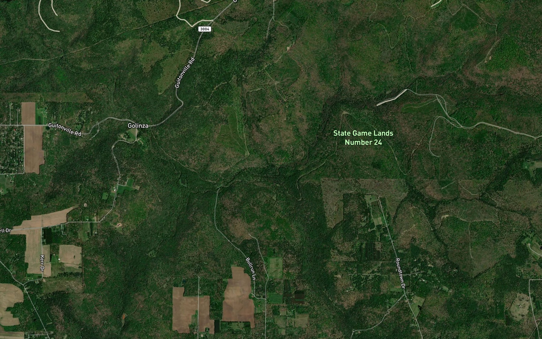 Satellite map of the Zipp Run