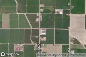 Lateral Number Five 1/2