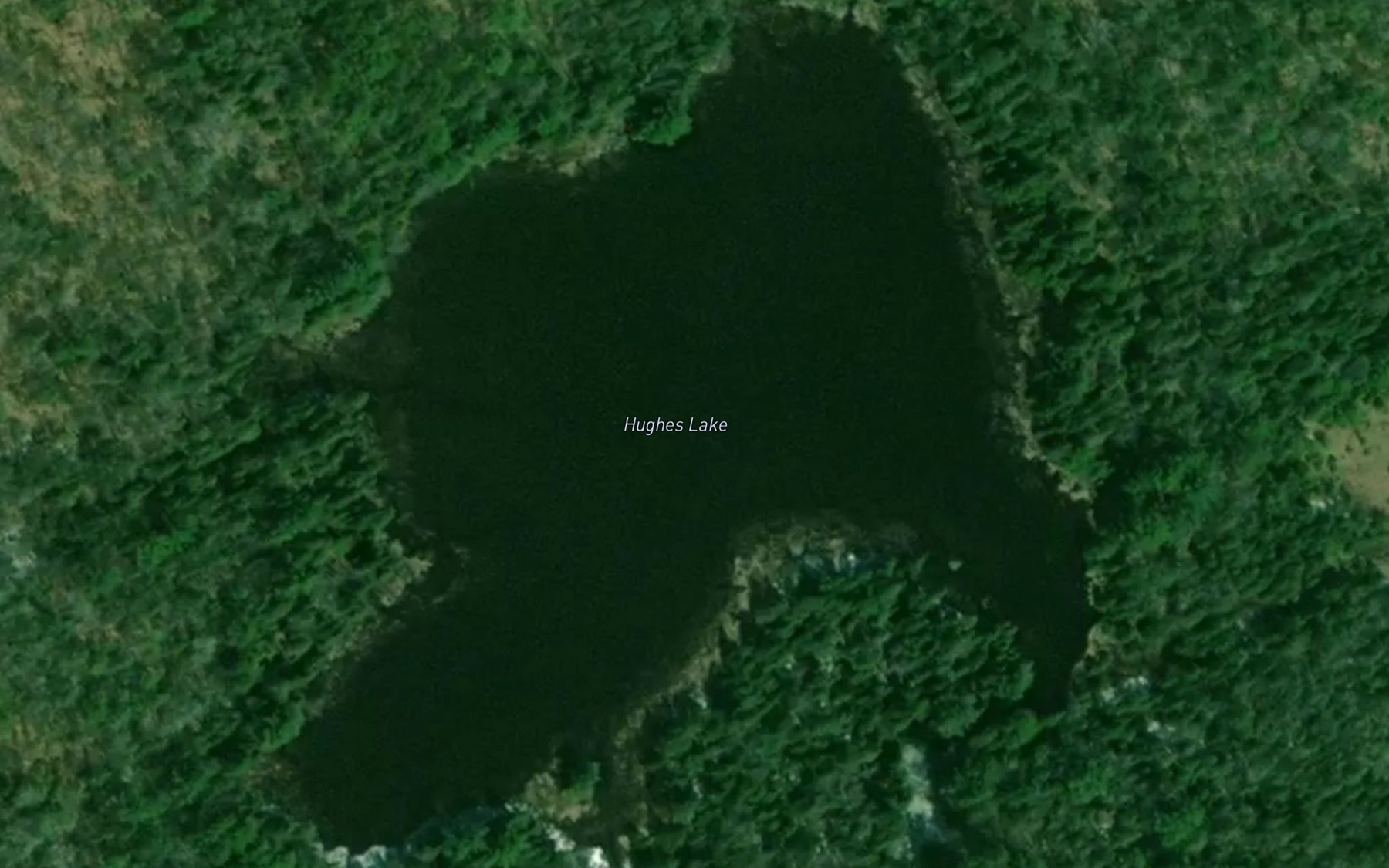 Satellite map of the Hughes Lake