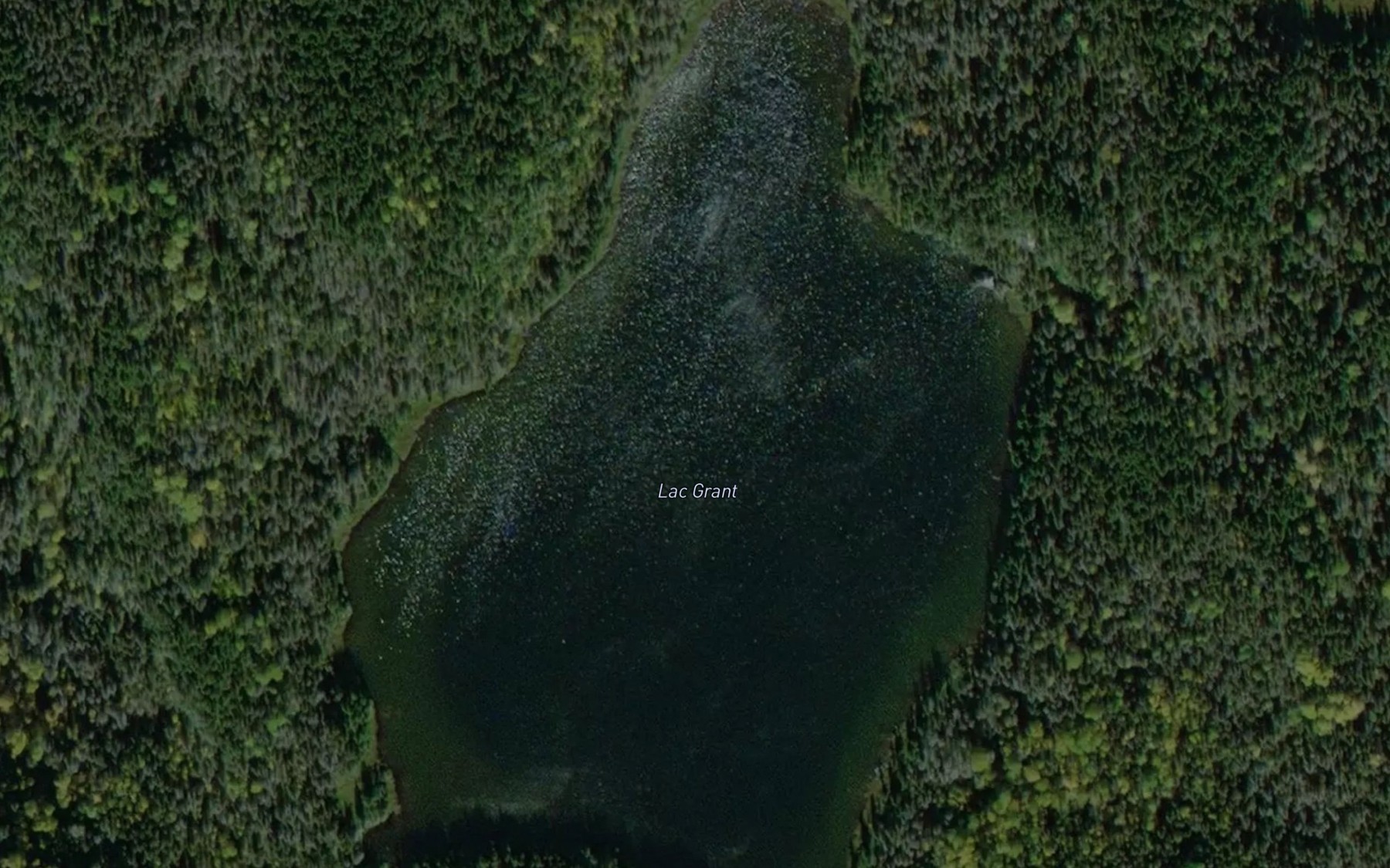 Satellite map of the Lac Grant