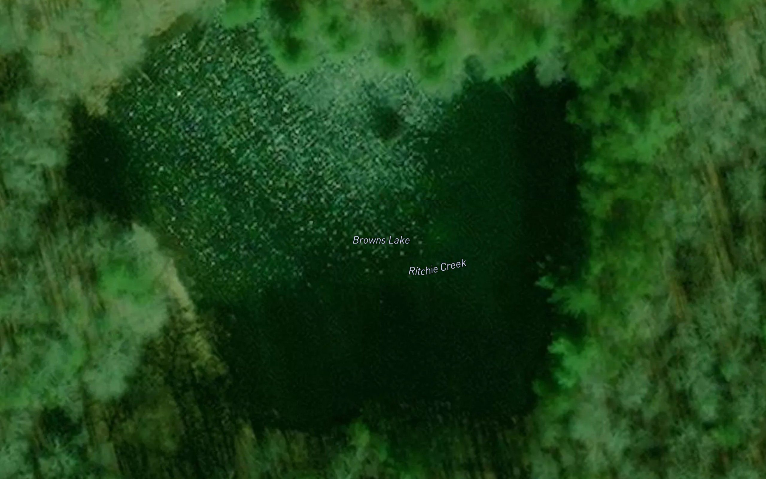 Browns Lake